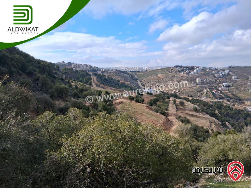 ارض مميزة للبيع في الكمالية مساحة 4060م موقع اطلالة على شارعين بالقرب من متحف الشهيد وصفي التل
