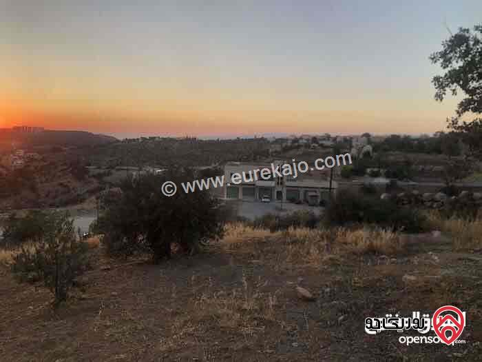 قطعة ارض مساحة 2 دونم و 400م للبيع في عمان - ناعور