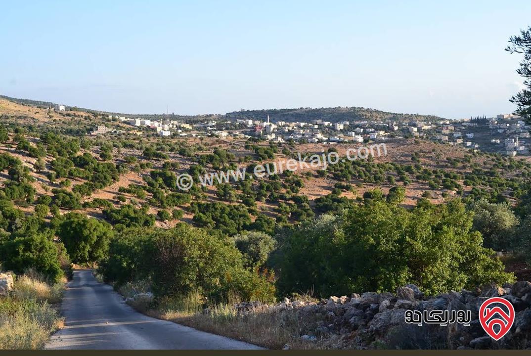 قطعة ارض مساحة 11 دونم و 688م للبيع في عجلون 