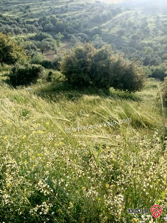 قطعة ارض سكنية مساحة 1 دونم و 145م للبيع في السلط