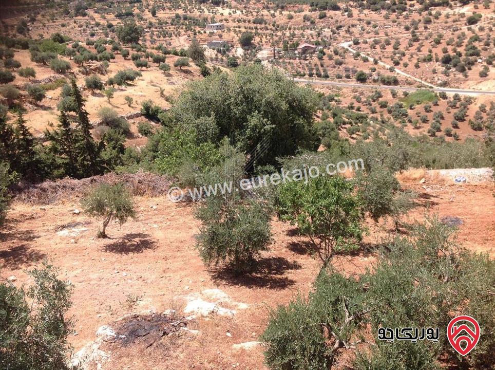 مزرعة مساحة الأرض 10 دونم والبناء 600م للبيع في السلط - أم جوزة