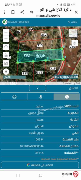 قطعة ارض مساحة 3 دونم للبيع في عجلون منطقة الصوان 