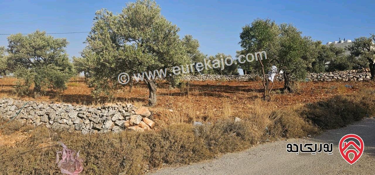 قطعة أرض ريفية مساحة 7 دونم للبيع في في جرش سوف حوض بيدر الحمص 