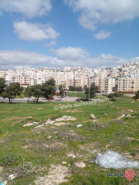 ارض مساحة 750م للبيع في عمان - ياجوز الدفيانه