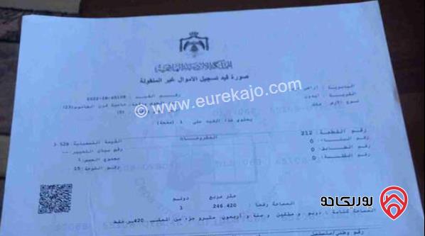 قطعة ارض مساحة 1 دونم و 246م للبيع في اربد - ايدون منطقة قرن الجاموس
