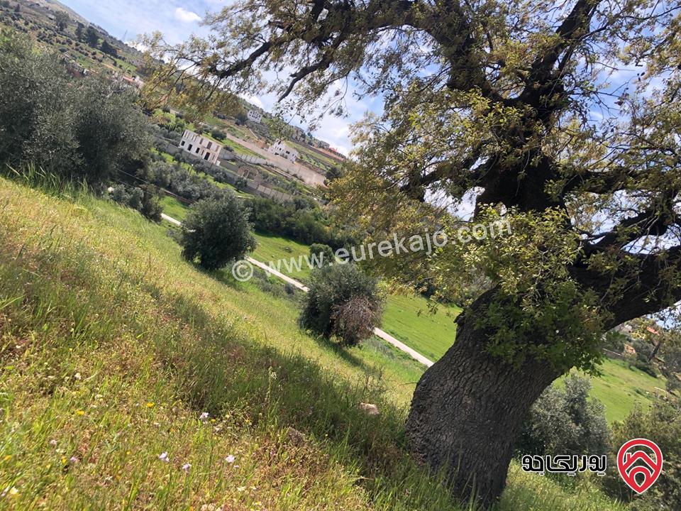 قطعة ارض مساحة 6 دونم و 500م للبيع كاملة او جزء منها في الزرقاء - الكمشة حوض البيرة 