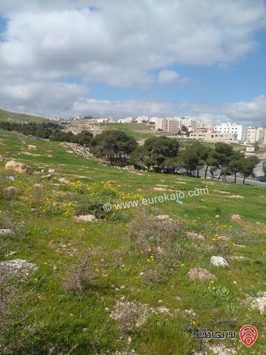 ارض مساحة 750م للبيع في عمان - ياجوز الدفيانه