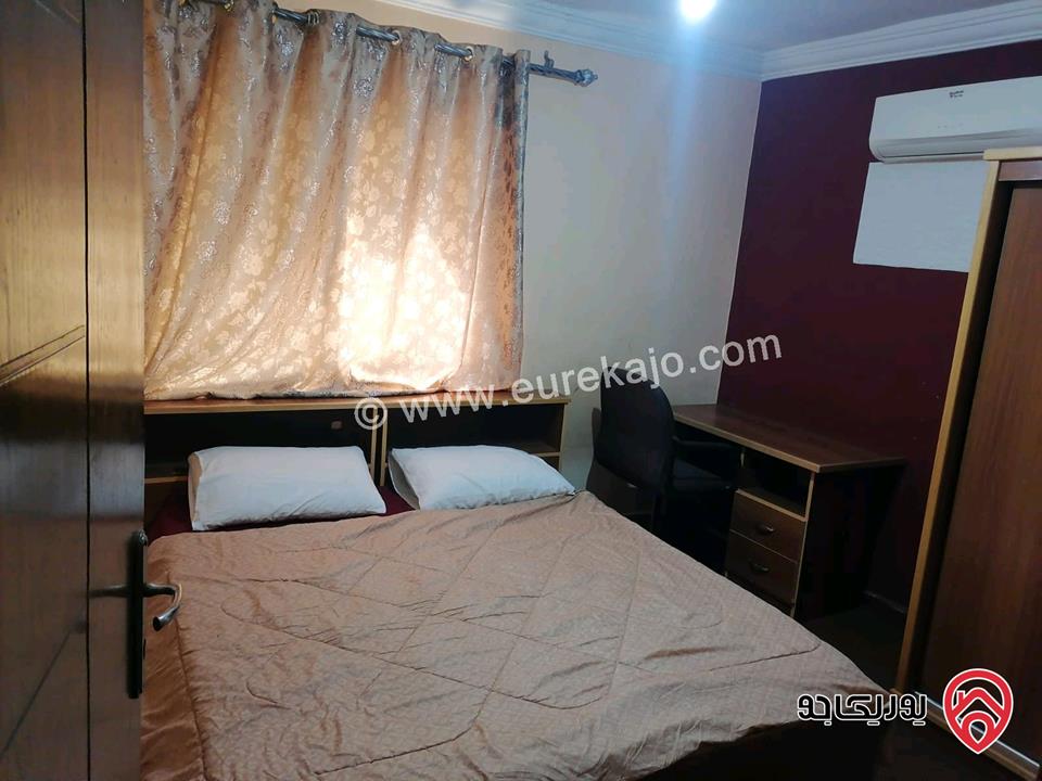 شقق مفروشة للايجار في اربد شارع الجامعة الرئيسي 