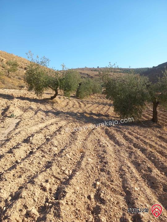 قطعة ارض مساحة 19 دونم و 195م للبيع من أراضي جرش قفقفا