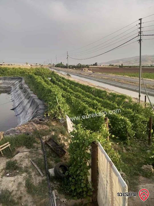 أرض زراعية مساحة 9 دونم و 526م للبيع في اربد - الأغوار الشمالية/منطقة ابوسيدو 