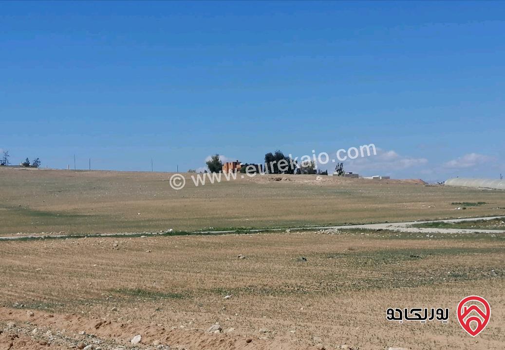 قطعة أرض نصف دنم للبيع بالمشتى أراضي جنوب عمان 
