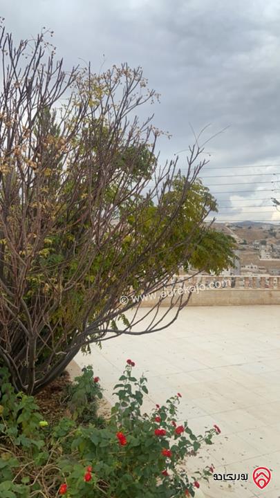 فيلا مساحة 500م على ارض 1 دونم للبيع في الزرقاء – ضاحية المدينة المنورة