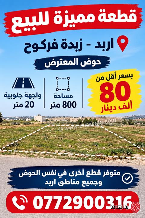 قطعة ارض مساحة 920م للبيع في اربد - ايدون ماصية قرن الجاموس
