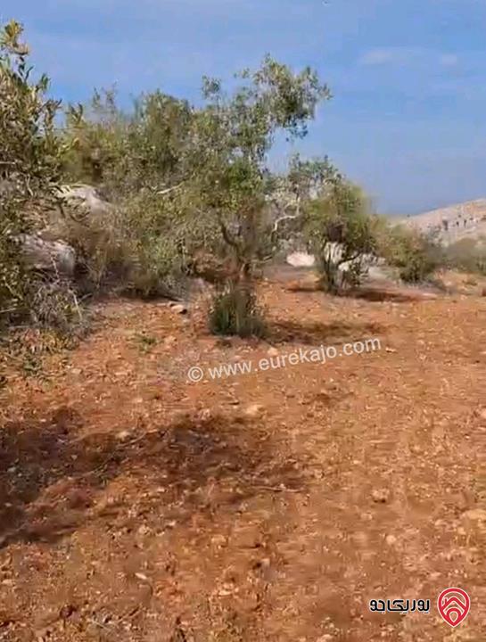 أرض مساحة 5 دونم و 603م للبيع في اربد - ملكا