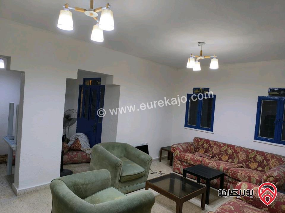 مزرعة مساحة 2 دونم مزروعة حمضيات وتمر وزيتون  مع مسبح مع شاليه عدد 2 للبيع في الشونة الجنوبية