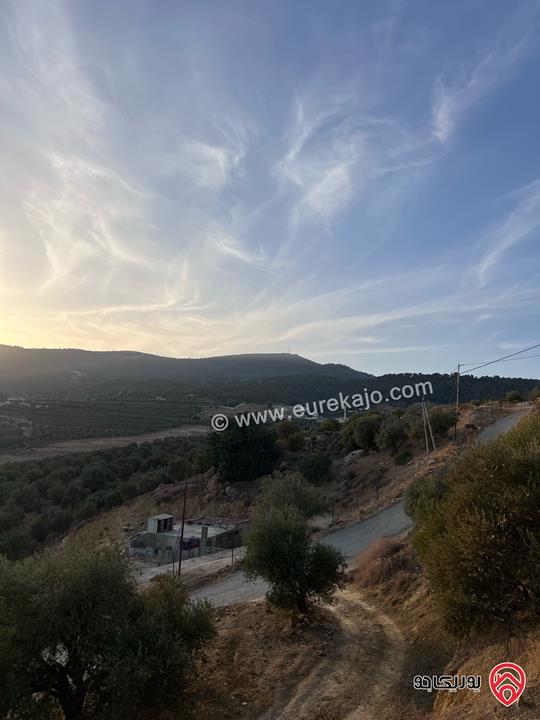 مزرعة مساحة الأرض 6 دونم و 500م للبيع في جرش منطقة جمله قريبة من محمية دبين اطلاله جميلة جداً وسعر حرق وربنا يبارك لصاحب النصيب