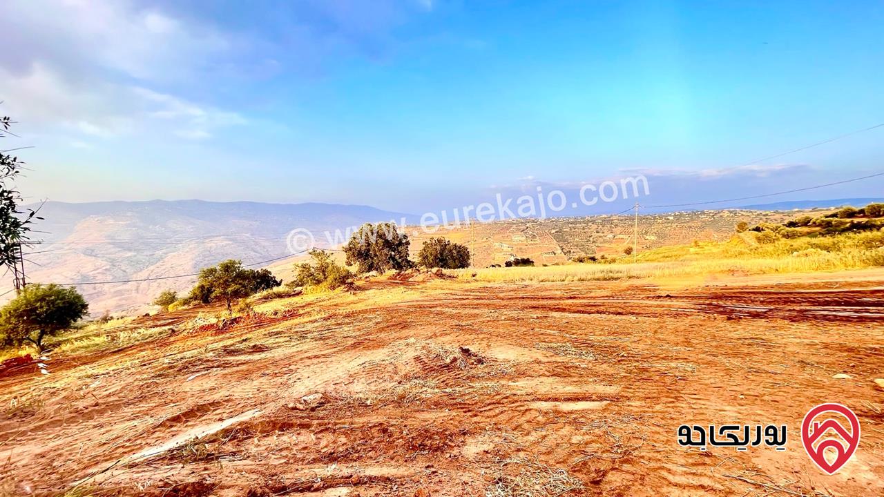 قطعة أرض مساحة 2 دونم و 230م للبيع في السلط - الصبيحي 