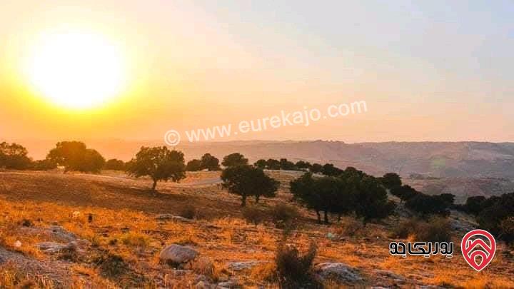 أراضي بمساحات من 500م - 10 دونم للبيع في عمان - أجمل مناطق عمان الغربية منطقة بدر الجديدة