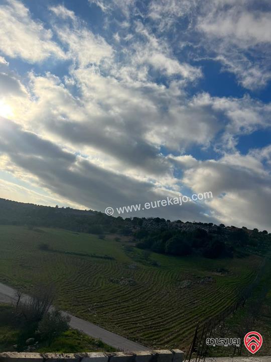 ارض مساحة 1 دونم و 982م للبيع في عجلون عنجرة سرابيس