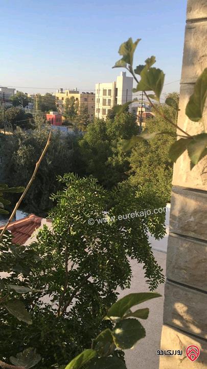 فيلا مساحة البناء 1000م على أرض 1142م للبيع في عمان - صويلح