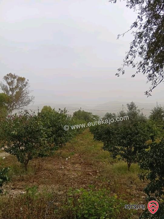 قطعة ارض مساحة 3 دونم و 400م للبيع في اربد - الأغوار الشمالية 