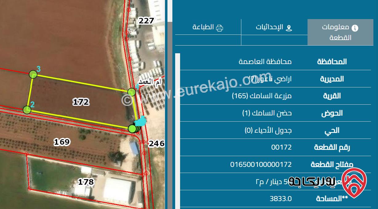 ارض صناعية مساحة 3 دونم و 833م للبيع في عمان - ناعور حوض حضن السامك