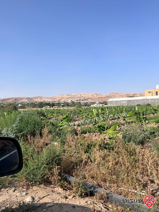 قطعة ارض مفروزة مساحة 1307م للبيع من أراضي الشونة الجنوبية في الاغوار من المالك 