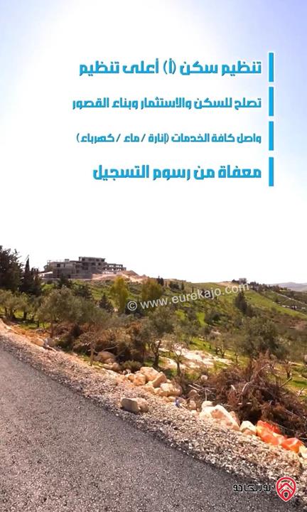 قطعة ارض مميزة مساحة 1 دونم للبيع في السلط منطقة الحمر حوض ابو الهركاب