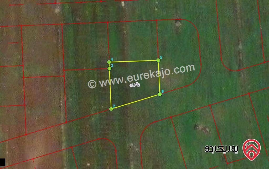 قطعة ارض مساحة 453م للبيع في اربد - بشرى شرق طريق عمان