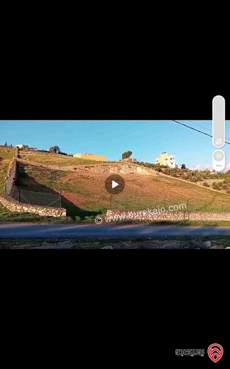 مزرعة مساحة 4 دونم للبيع في الزرقاء - منطقة صروت