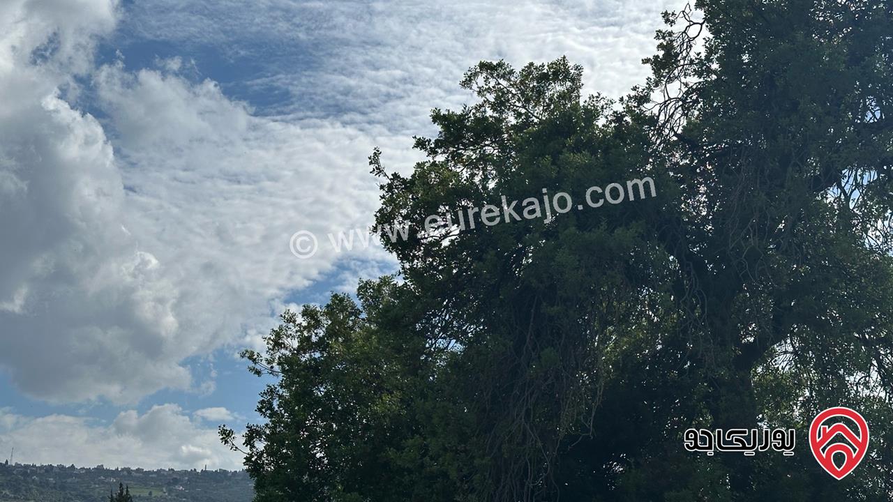 قطعة أرض مساحة 3 دونم و 521م للبيع من اراضي السلط