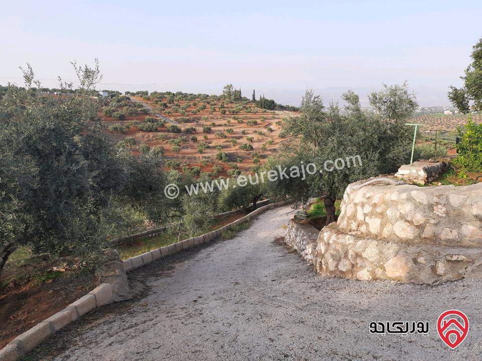 مزرعة زيتون مساحة الأرض 8 دونم و 588م و البناء مساحة 100م للبيع في السلط