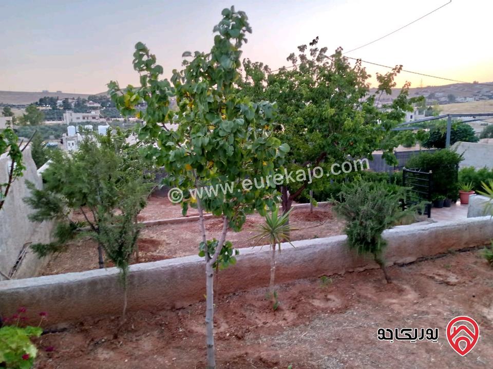 مزرعة مساحة الأرض 618م والبناء 100م للبيع في المفرق