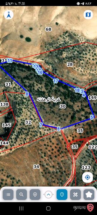 أرض مساحة 23 دونم و 600م مزروعة زيتون للبيع في عجلون خربة الوهادنه