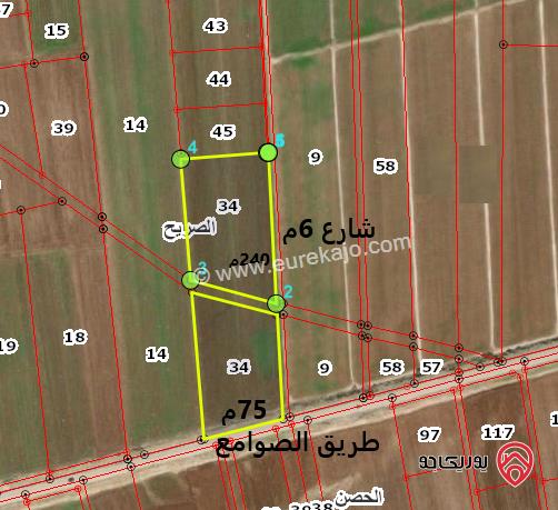 قطعة أرض مساحة 3 دونم مشترك للبيع في اربد - من اراضي الصريح ضمن حوض سلما الغربية بسعر مغري 