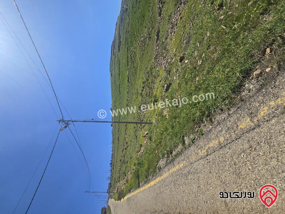 ارض مساحة 5 دونم و 24م للبيع في السلط - أبو طاره