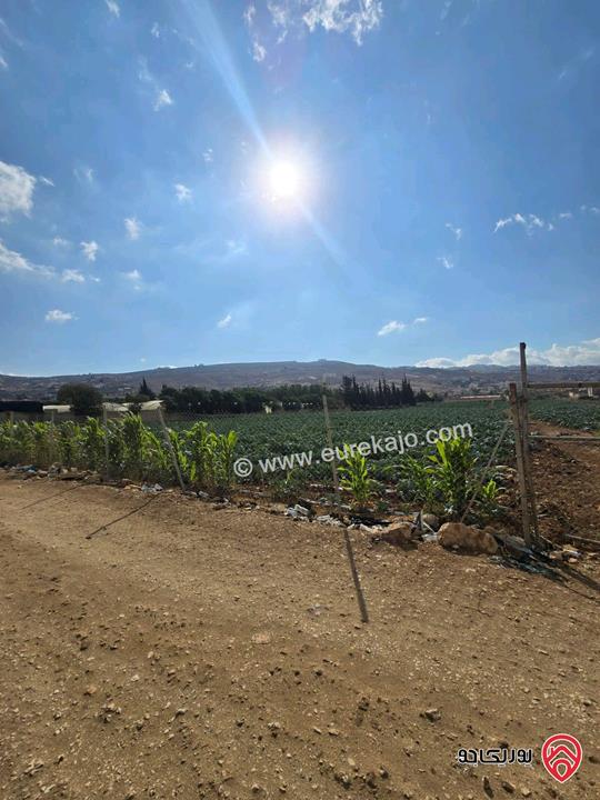 قطعة ارض ومشروع استثماري ناجح مساحة 24 دونم و 309م للبيع من اراضي شمال عمان - موبص تبعد عن شارع الاردن موقع قصر الجبل دقيقتين حوض سنينة الماء  