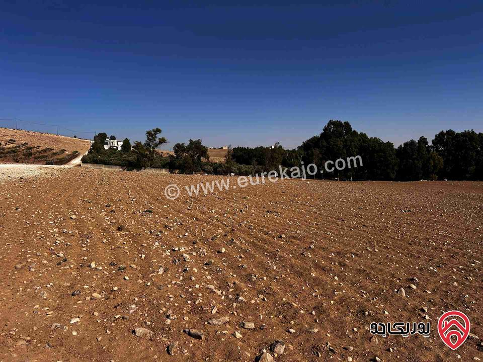 أرض مساحة 10 دونم للبيع من اراضي جنوب عمان - نتل حوض الربابه