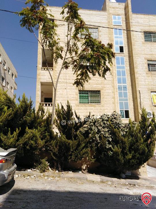 استوديو مفروش مساحة 50م داخلي و 60م خارجي للايجار في عمان - الجبيهة