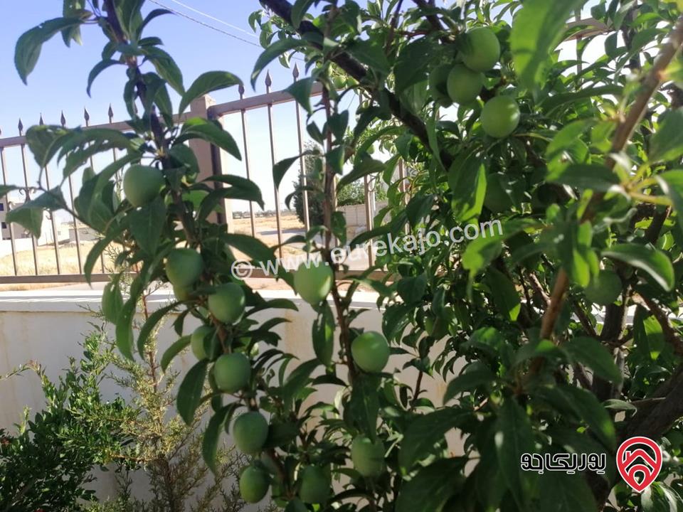 مزرعة مساحة الأرض 523م والبناء 110م للبيع في عمان - منطقة الجيزة بجانب المطار مباشرة