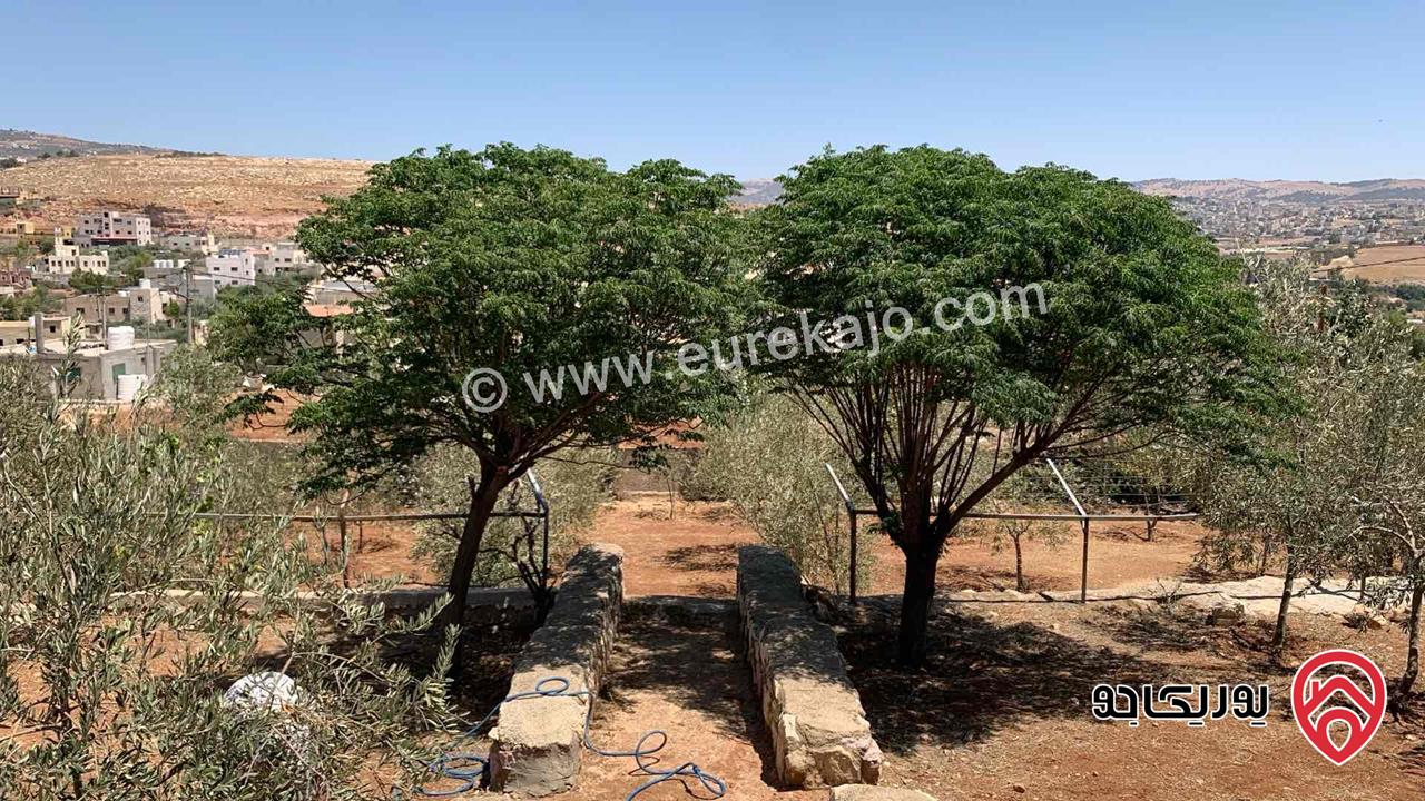 مزرعة مساحة الأرض 2 دونم للبيع بدون منزل في جرش حي الجبارات