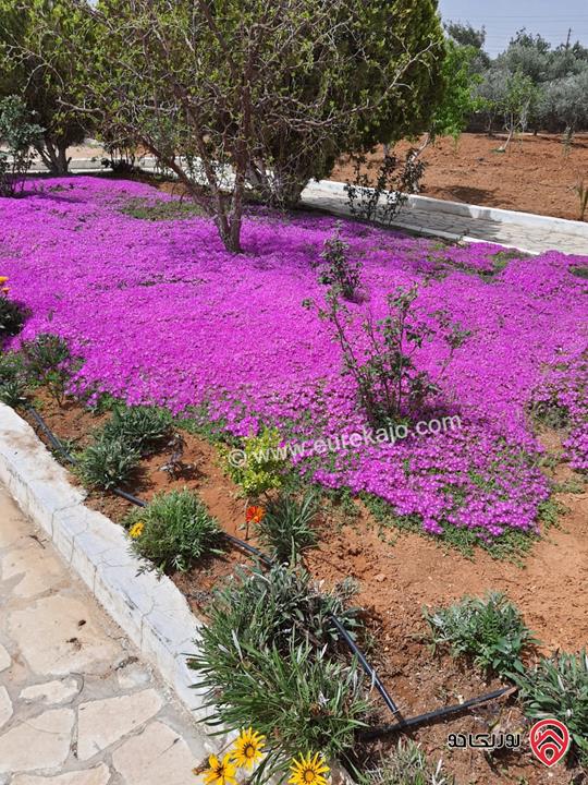 مزرعة مساحة الأرض 10 دونم للبيع في عمان - ام العمد خلف الاندلسية عليها فيلا