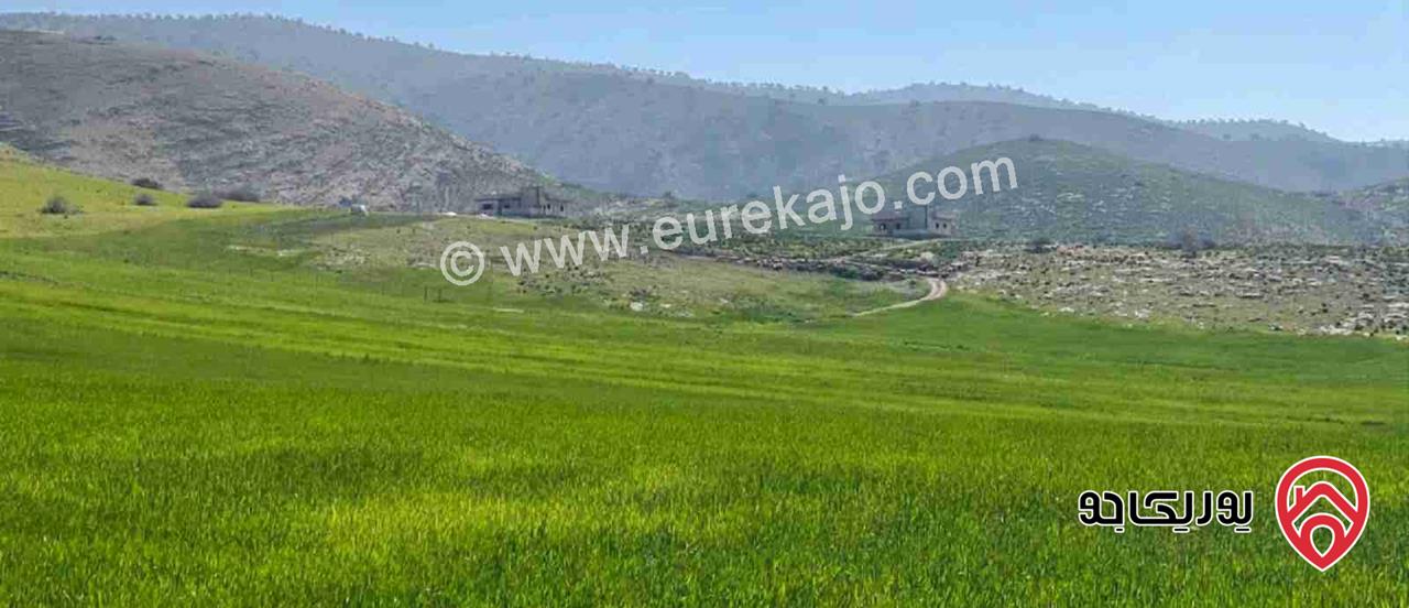 أرض مساحة 500م للبيع في اربد