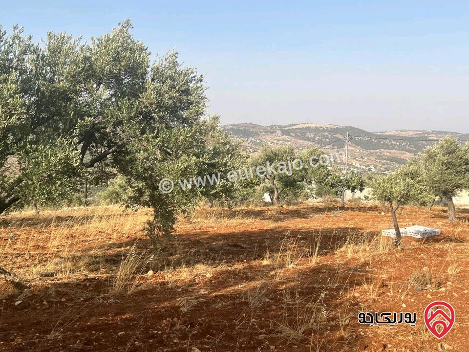 قطعة أرض ريفية مساحة 7 دونم للبيع في في جرش سوف حوض بيدر الحمص 