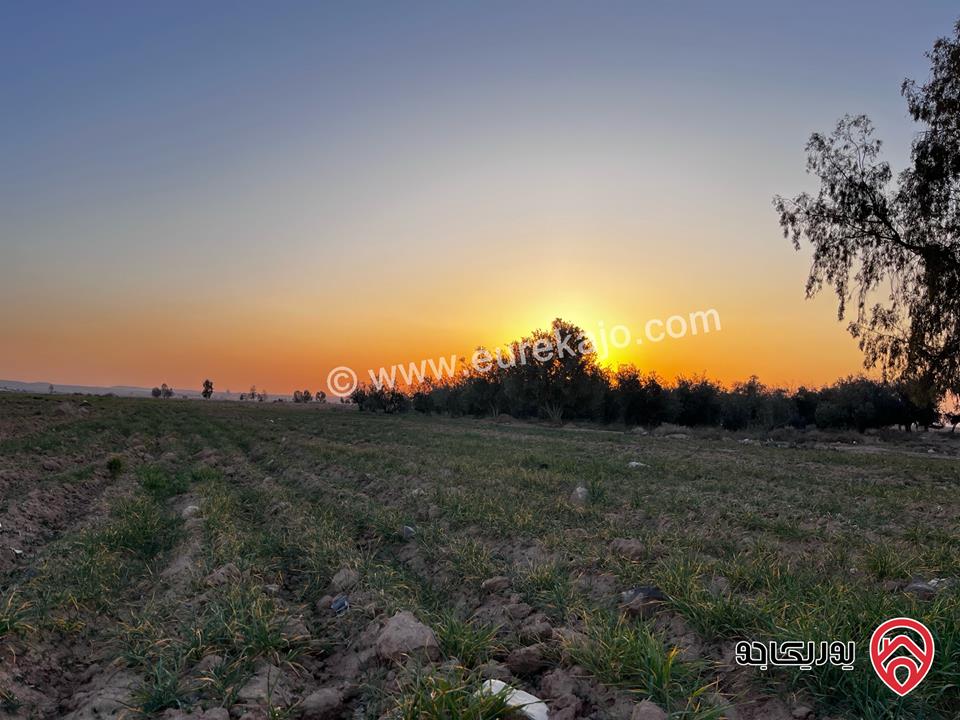 من المالك مباشرة وحدتين زراعيات مساحة 58 دونم للبيع في الزرقاء 