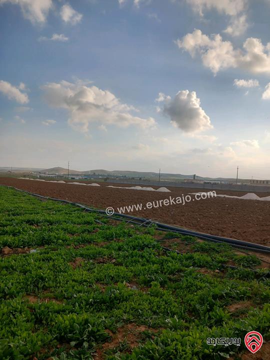 قطعة أرض مساحة 3 دونم و 400م للبيع في المفرق - الزيتونة