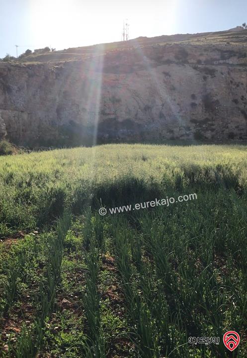 قطع أراضي عدد 3 مساحتهم الكلية 15 دونم و 340م للبيع في اربد - الحصن