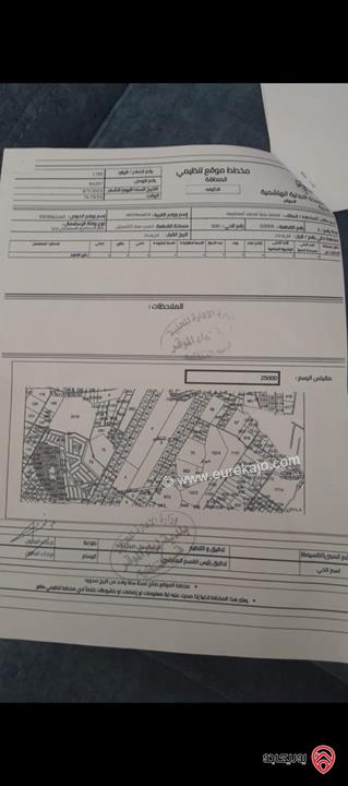 قطعة ارض مساحة 319 دونم للبيع من أراضي الموقر - الكتيفه