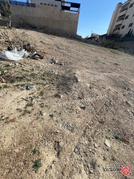 أرض مساحة 480م للبيع في عمان - شفا بدران عيون الذيب 