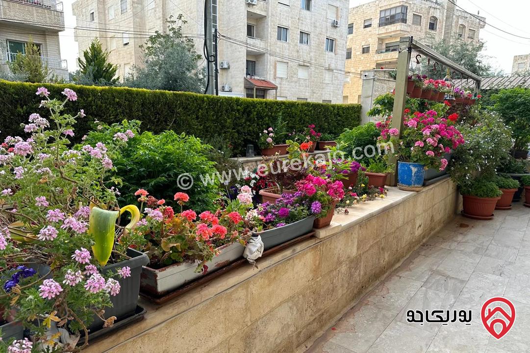 شقة مفروشة طابق ارضي مساحة 228م للايجار في عمان - تلاع العلي